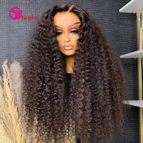 Black Human Hair Wigs